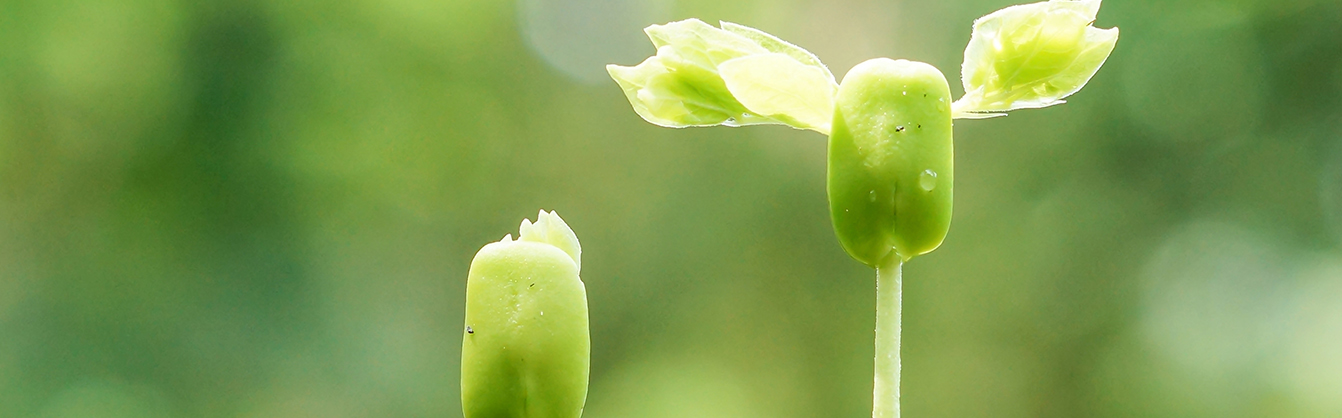 potentiel_talent_coaching_formation3 potentiel_talent_coaching_formation3